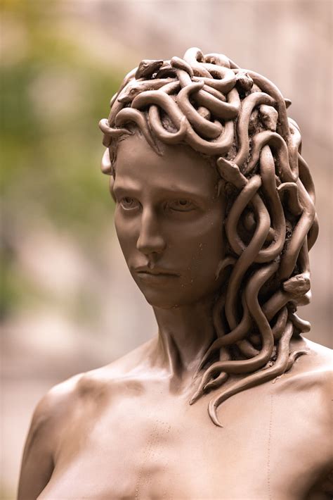 medusa head.